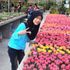 Nurul Hadirah