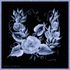 Debra Cook