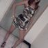 Licenia Laboy