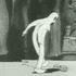 Mr♠SuAve’s FxxxNk