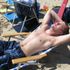 Tyler Halye