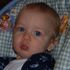 Chase Falkner