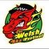 Welsh Ska Festival