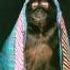MONKEYTOWN