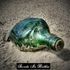 Secrets In Bottles