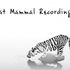 Mammal