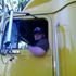 Brian Miner