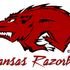 Arkansas Razorbacks