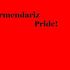 Armendariz Armendariz