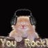 RagacatZZ FAN PAGE