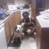 Chaseyy Frm Thee Dadee