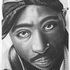 Maje Robinson