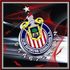 alex garcia