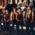 the warriors the warriors