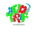 ACID TRIP