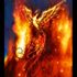 Phoenix Himura