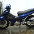Amyrul