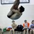 Nick Rodriguez