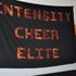 Intensity Cheer Elite