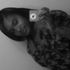 Frantaisa Miles