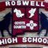 RHS 96 Class of 96