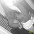 CAli babyy obie