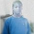 maurice webb