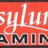 Asylum Gaming