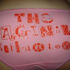 The Vaginal Vigilantes (R.I.P.)