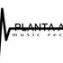 PLANTA ALTA RECORDS (RIBEIRA)