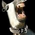 hiyahorse