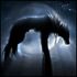 Nimue Moonwolf