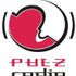 Pulz radio