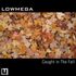 Lowmega