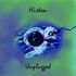 Histon Unplugged