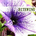 BITEWING