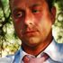 Andrea Colonna