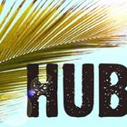 Hub