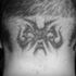 Primortal Earth