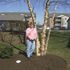 CAROLYN HUSTER