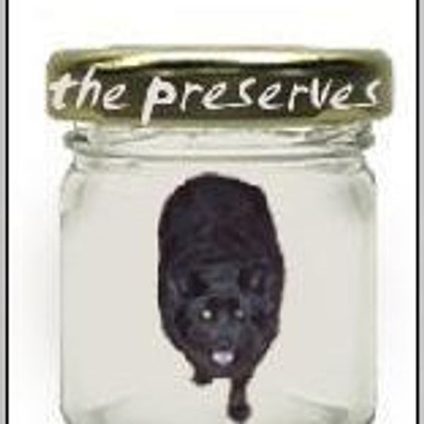 MySpace profile picture for @preserves