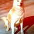 Pearla Pearla