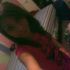 Jessica Romero-Lemus