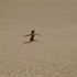 Whitney Miller