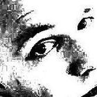 Chris Kasin