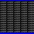 Andy Amaro