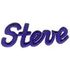 Steve Raymond