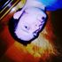 James Heneghan