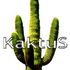 kaktus