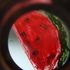 Watermelon Project Photo-Video Collcetive